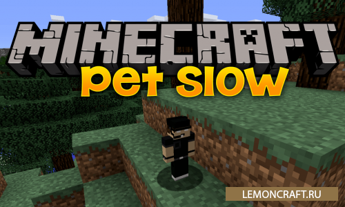 Мод на факельщика Pet Slow [1.12.2]